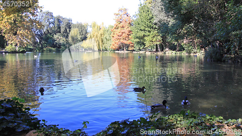 Image of Pond Lake Rome