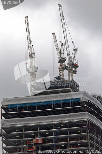 Image of Skyscraper Cranes