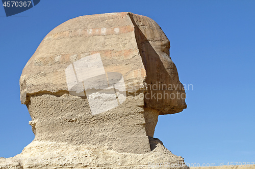 Image of Sphinx Giza