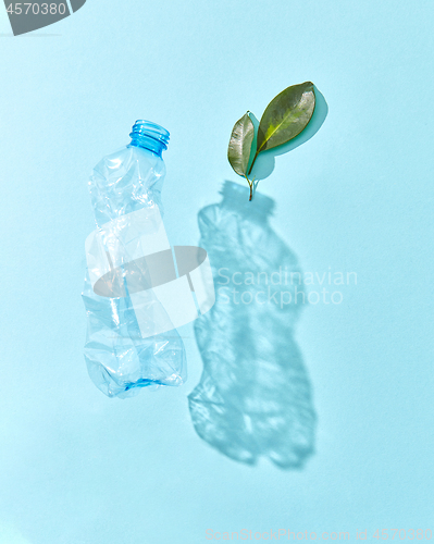 Image of Green plant and crumpled plastic bottle with shadows.