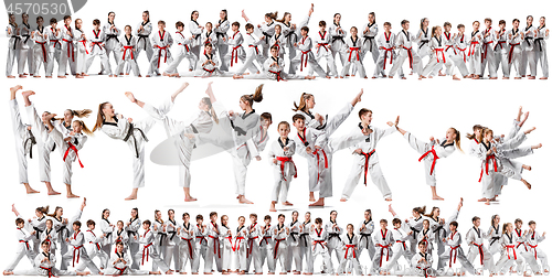 Image of The collage about group of kids training karate martial arts