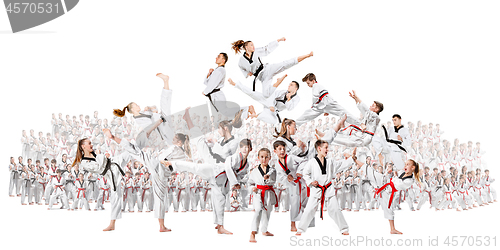 Image of The collage about group of kids training karate martial arts