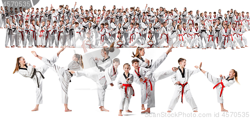 Image of The collage about group of kids training karate martial arts