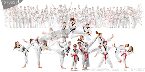 Image of The collage about group of kids training karate martial arts