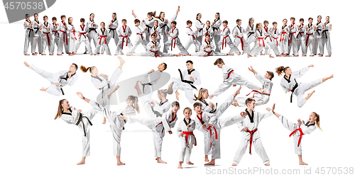 Image of The collage about group of kids training karate martial arts