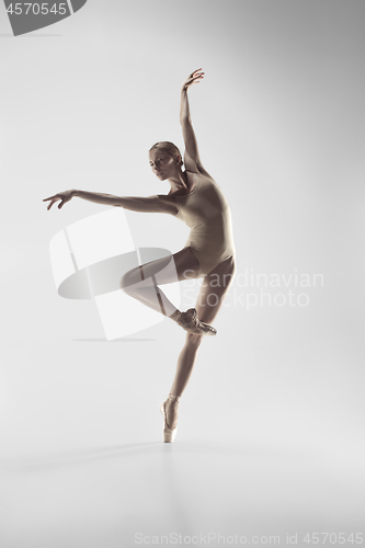 Image of Ballerina. Young graceful female ballet dancer dancing at studio. Beauty of classic ballet.