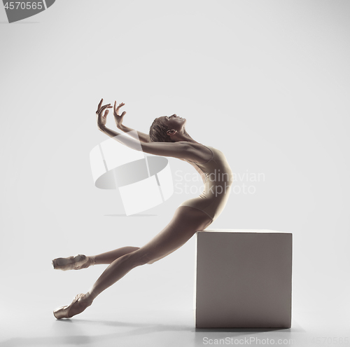 Image of Ballerina. Young graceful female ballet dancer dancing at studio. Beauty of classic ballet.