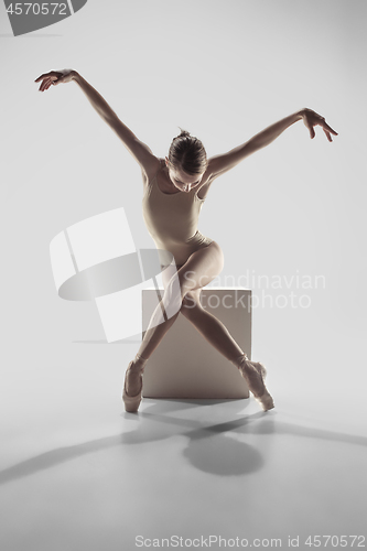 Image of Ballerina. Young graceful female ballet dancer dancing at studio. Beauty of classic ballet.