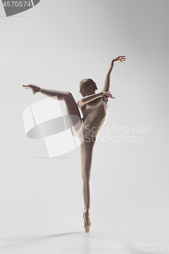 Image of Ballerina. Young graceful female ballet dancer dancing at studio. Beauty of classic ballet.