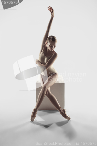 Image of Ballerina. Young graceful female ballet dancer dancing at studio. Beauty of classic ballet.