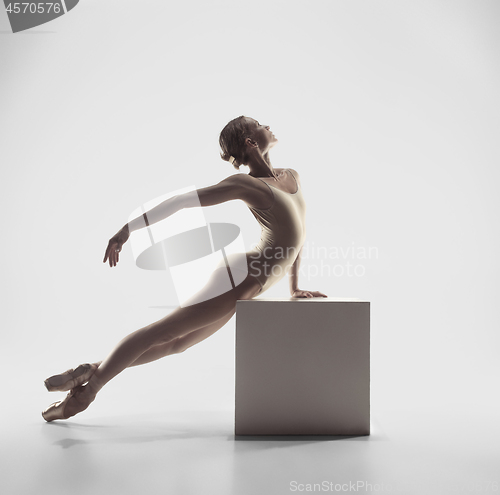 Image of Ballerina. Young graceful female ballet dancer dancing at studio. Beauty of classic ballet.
