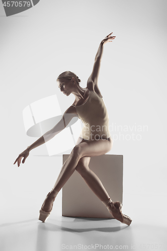 Image of Ballerina. Young graceful female ballet dancer dancing at studio. Beauty of classic ballet.