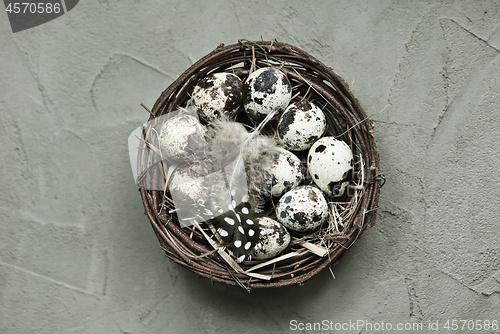 Image of quail eggs