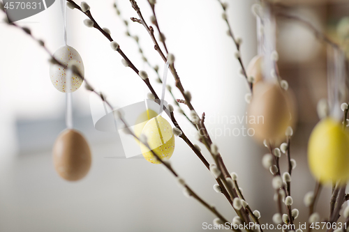 Image of close up of pussy willow decorated by easter eggs