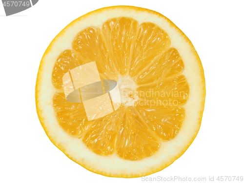 Image of Lemon slice on white