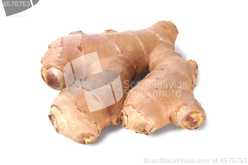 Image of Ginger root on white