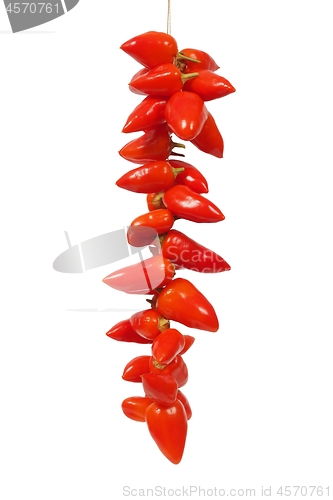 Image of Red chili Pepper