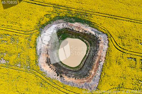 Image of Aerial canola field views down onto diminishing waterhole