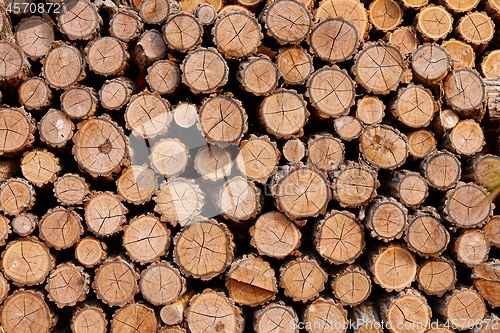 Image of Log wood pile