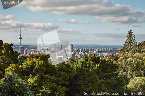 Image of View of Auckland