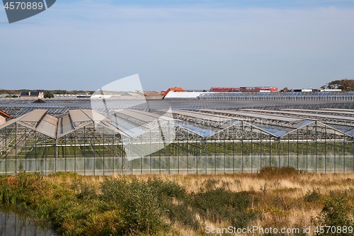 Image of Greenhouse agricultural production