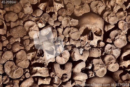 Image of Skulls and bones in a wall