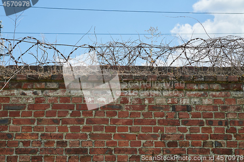 Image of Barbed wire on top of a brick wall.