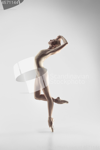 Image of Ballerina. Young graceful female ballet dancer dancing at studio. Beauty of classic ballet.