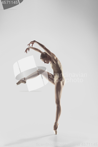 Image of Ballerina. Young graceful female ballet dancer dancing at studio. Beauty of classic ballet.