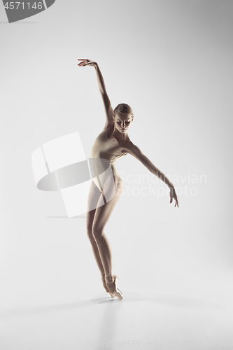 Image of Ballerina. Young graceful female ballet dancer dancing at studio. Beauty of classic ballet.