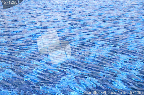 Image of Pool Water