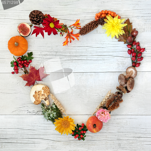 Image of Heart Shaped Autumn Wreath