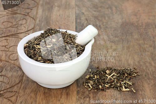 Image of Southernwood Herb
