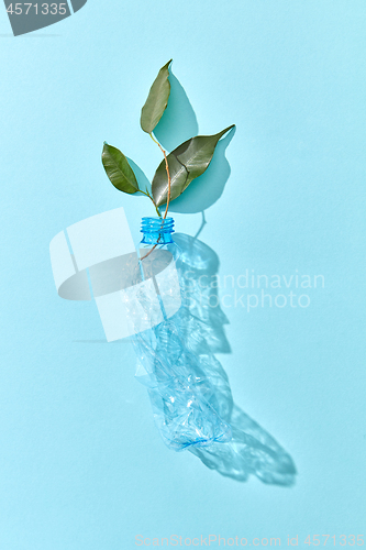 Image of Green leaf twig in crushed plastic empty bottle.