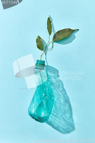 Image of Green branch grows from crushed plastic bottle.