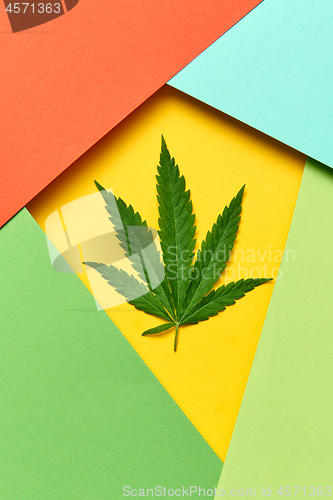 Image of Geometric frame from colored paper with cannabis leaf.