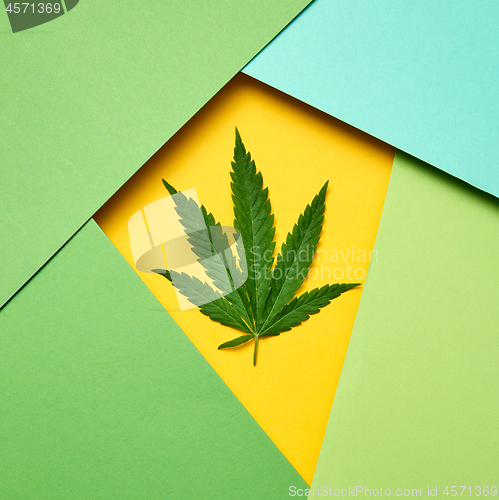 Image of Marijuana leaf on a paper colored frame background.