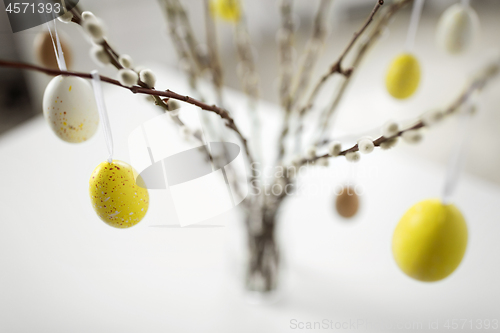 Image of close up of pussy willow decorated by easter eggs