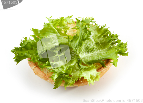 Image of burger bread with lettuce