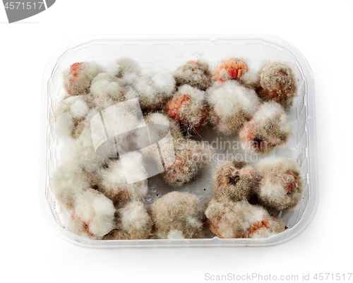 Image of raspberries with mold