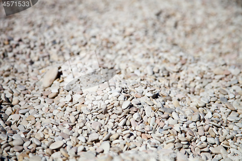 Image of Abstract background with grey and white peable stones.