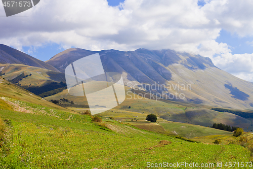 Image of Fields in Castelluccio di Norcia, Umbria, Italy.