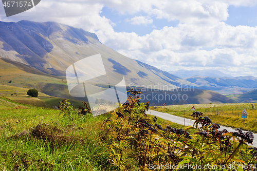 Image of Fields in Castelluccio di Norcia, Umbria, Italy.