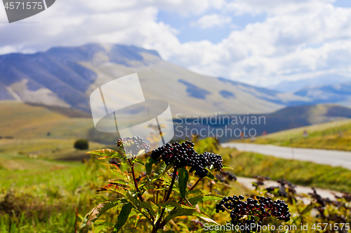 Image of Fields in Castelluccio di Norcia, Umbria, Italy.