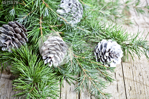 Image of  Evergreen fir tree branch and white pine cones closeup on woode