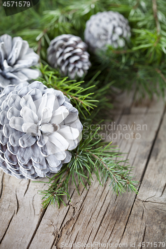 Image of Evergreen fir tree branch and white pine cones closeup on wooden