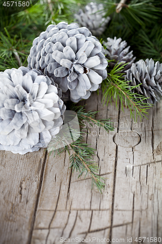 Image of Evergreen fir tree branch and white pine cones closeup on wooden