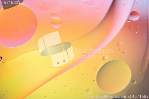 Image of Rainbow abstract defocused background picture made with oil, water and soap