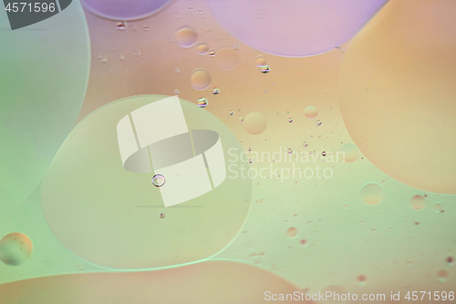 Image of Defocused pastel colored abstract background picture made with oil, water and soap