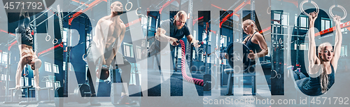 Image of Collage about exercises in the fitness gym.